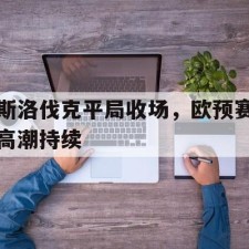 爱游戏官方入口-斯洛伐克平局收场，欧预赛高潮持续()